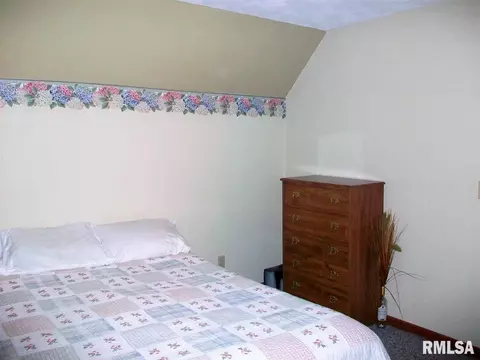 864 E Walnut St, Canton, IL 61520 photo 28