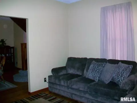 864 E Walnut St, Canton, IL 61520 photo 5