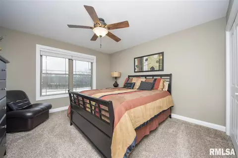 210 Shadow Crk, Washington, IL 61571 photo 21