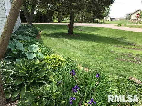 212 N 1st St, Secor, IL 61771 photo 24