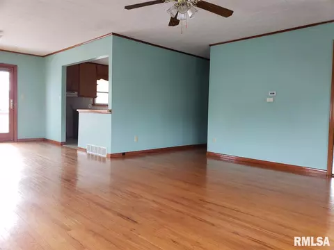 206 E Front St, Roanoke, IL 61561 photo 8