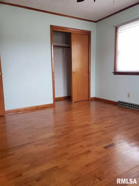 206 E Front St, Roanoke, IL 61561 photo 15