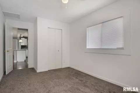 203 E Pearl, Danvers, IL 61732 photo 23