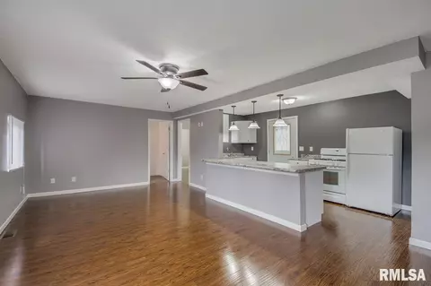 203 E Pearl, Danvers, IL 61732 photo 3