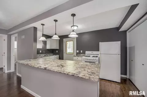 203 E Pearl, Danvers, IL 61732 photo 11