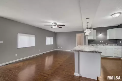 203 E Pearl, Danvers, IL 61732 photo 4