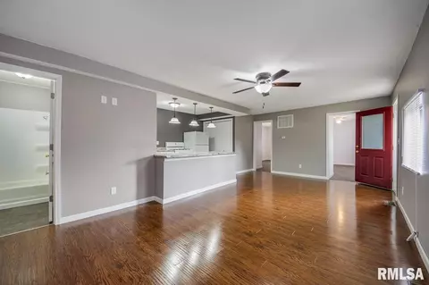 203 E Pearl, Danvers, IL 61732 photo 8