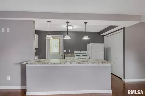 203 E Pearl, Danvers, IL 61732 photo 12