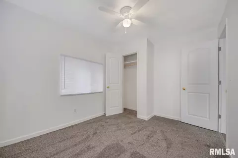 203 E Pearl, Danvers, IL 61732 photo 14