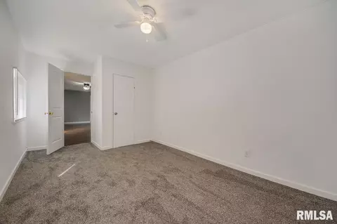 203 E Pearl, Danvers, IL 61732 photo 21