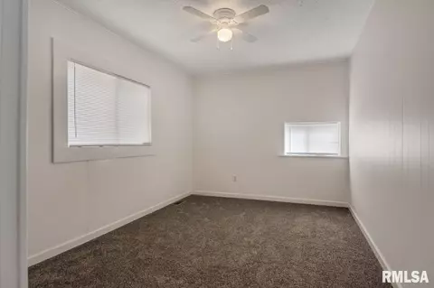 203 E Pearl, Danvers, IL 61732 photo 22
