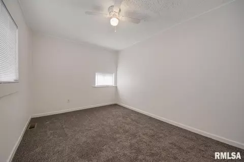 203 E Pearl, Danvers, IL 61732 photo 24