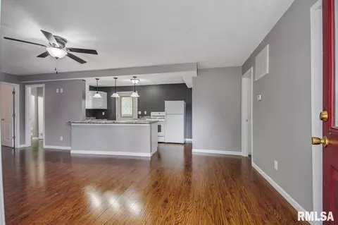 203 E Pearl, Danvers, IL 61732 photo 2