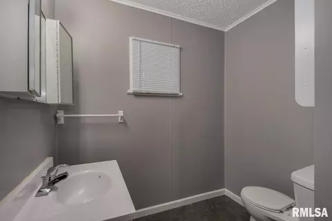 203 E Pearl, Danvers, IL 61732 photo 17