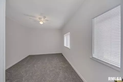 203 E Pearl, Danvers, IL 61732 photo 19