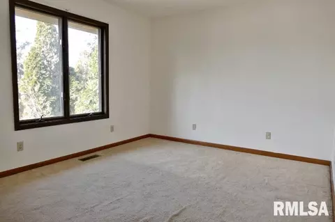 4305 S Banbury Cv, Mapleton, IL 61547 photo 19
