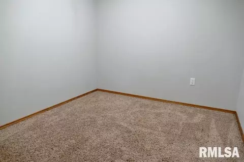4305 S Banbury Cv, Mapleton, IL 61547 photo 27