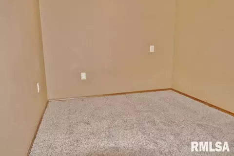 4305 S Banbury Cv, Mapleton, IL 61547 photo 25