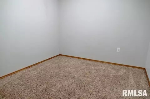 4305 S Banbury Cv, Mapleton, IL 61547 photo 27