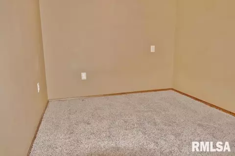 4305 S Banbury Cv, Mapleton, IL 61547 photo 25