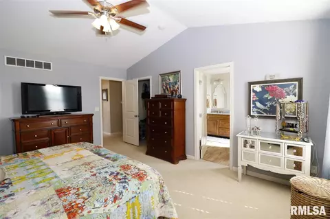 2114 W Liams Way, Dunlap, IL 61525 photo 19