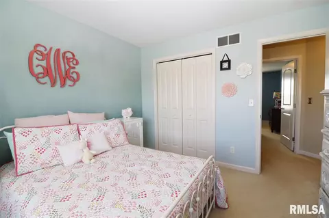 2114 W Liams Way, Dunlap, IL 61525 photo 26