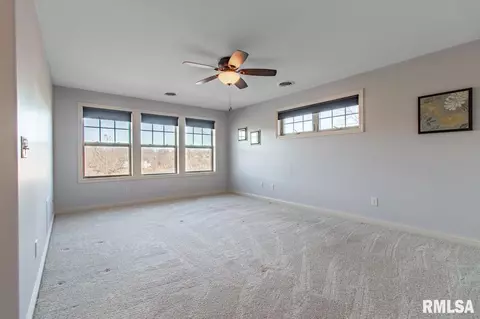 5002 S Whittingham Cv, Mapleton, IL 61547 photo 29