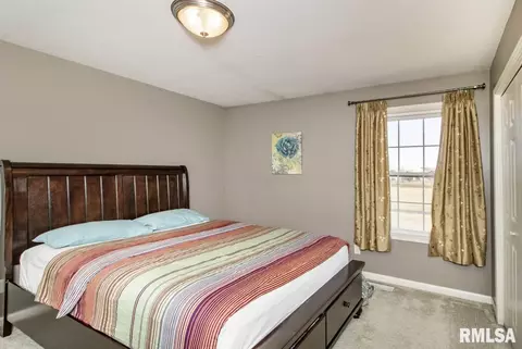 1603 W Meadowview Dr, Dunlap, IL 61525 photo 18