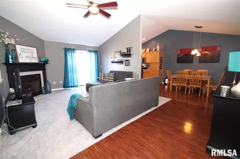 2329 W Marks Pl, Dunlap, IL 61525 photo 2