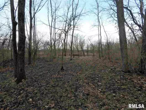 18175 River Rd, Danvers, IL 61732 photo 12