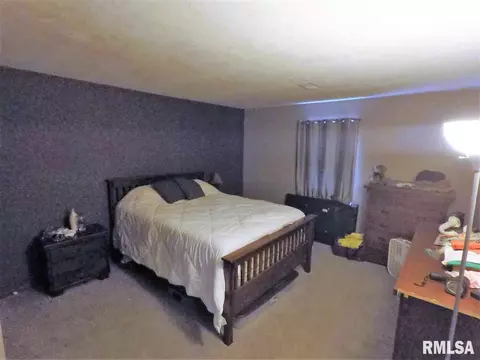 18175 River Rd, Danvers, IL 61732 photo 21