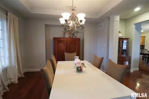 6403 W Hazel Nut Dr, Edwards, IL 61528 photo 5