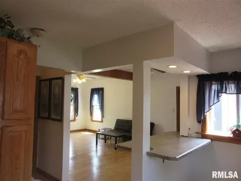 524 S 1st Ave, Canton, IL 61520 photo 3