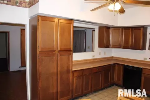 21619 E Hobbs Rd, Canton, IL 61520 photo 9