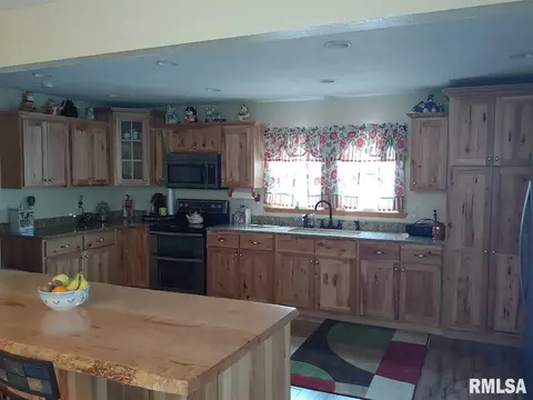 121 E Polk St, Cuba, IL 61427 photo 6