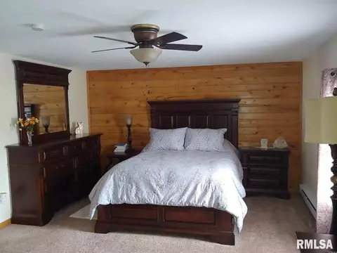 121 E Polk St, Cuba, IL 61427 photo 24