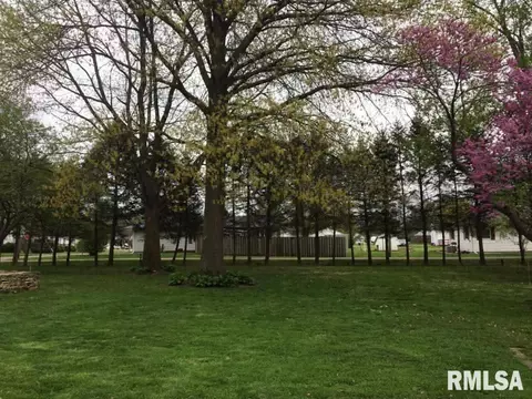 121 E Polk St, Cuba, IL 61427 photo 3