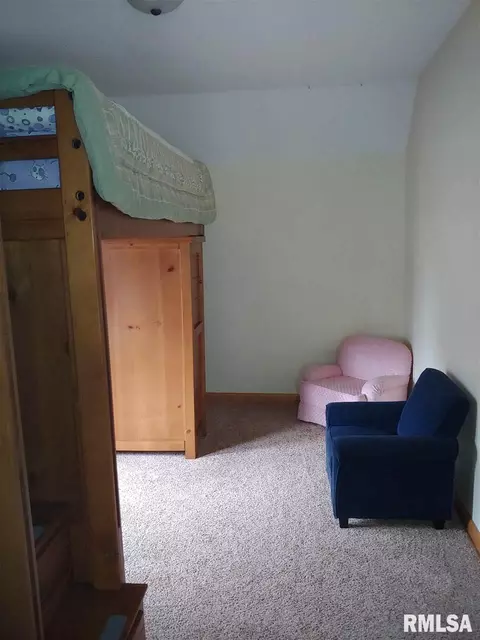 121 E Polk St, Cuba, IL 61427 photo 29