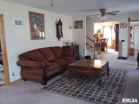 121 E Polk St, Cuba, IL 61427 photo 14