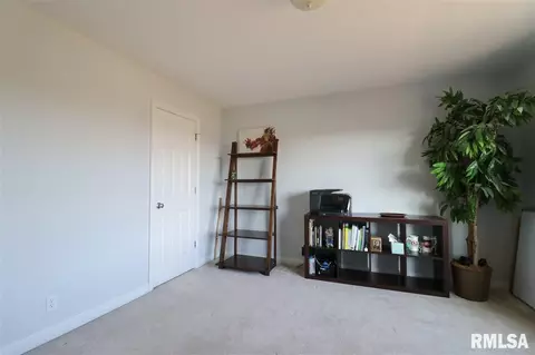 307 Windsor Dr, Germantown Hills, IL 61548 photo 24