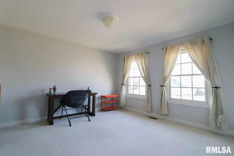 307 Windsor Dr, Germantown Hills, IL 61548 photo 20