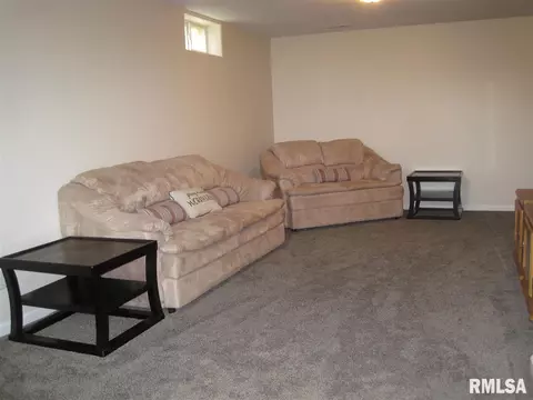 1101 Devon Ln, Washington, IL 61571 photo 32
