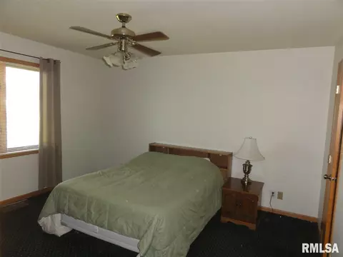 308 N 2nd St, Dunlap, IL 61525 photo 8