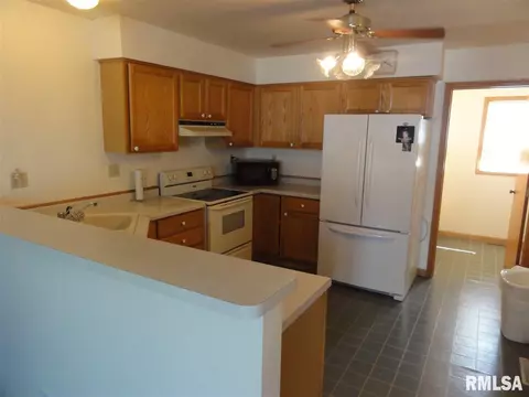 308 N 2nd St, Dunlap, IL 61525 photo 6