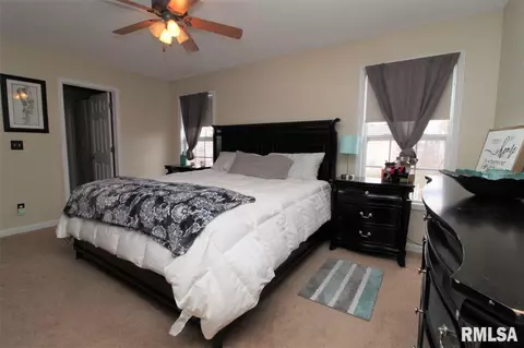 11408 N Casey Ct, Dunlap, IL 61525 photo 13