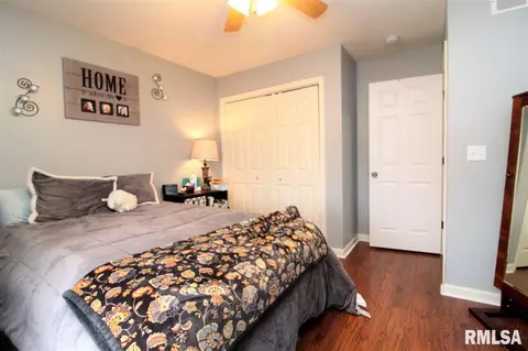 11408 N Casey Ct, Dunlap, IL 61525 photo 17