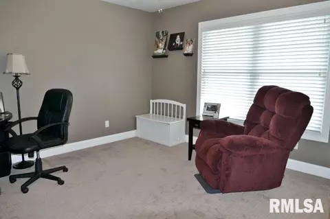 5012 S Sir Lionel Ct, Mapleton, IL 61547 photo 22
