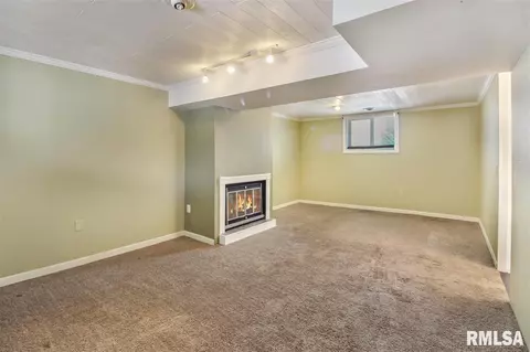 4304 S Banbury Cove Cv, Mapleton, IL 61547 photo 31