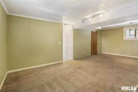 4304 S Banbury Cove Cv, Mapleton, IL 61547 photo 29