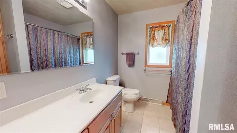 104 Pieper Cir, Delavan, IL 61734 photo 36